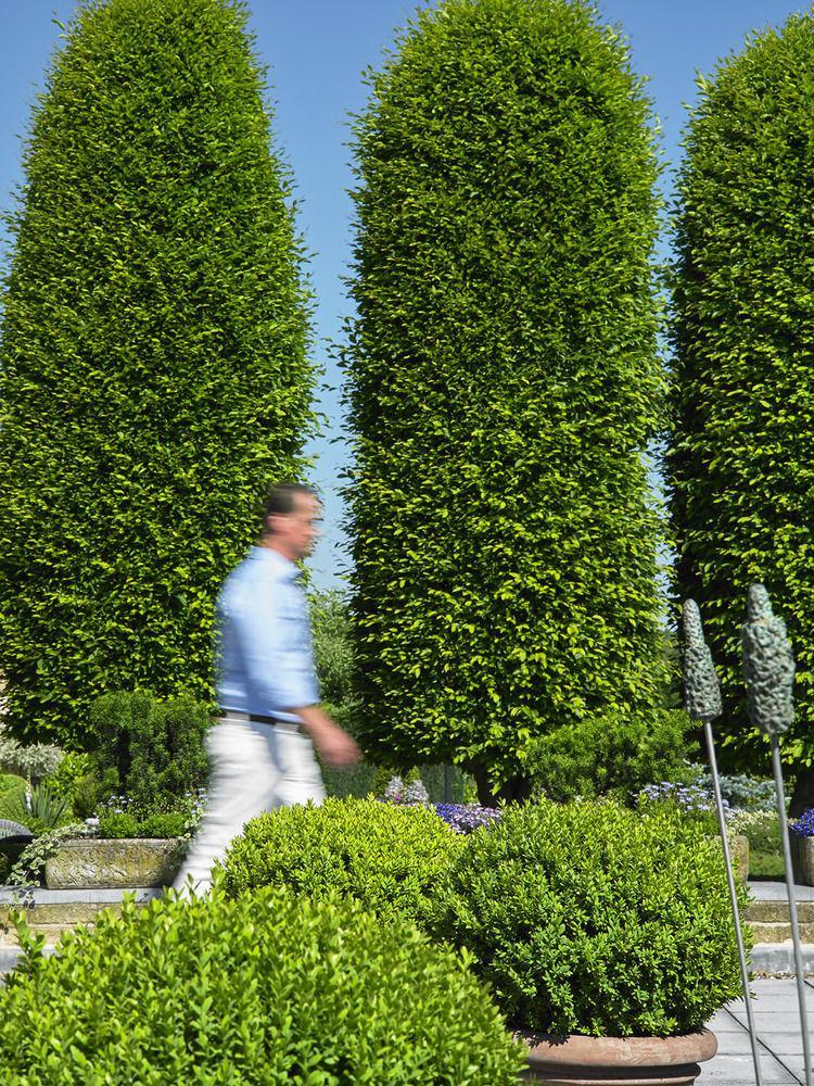 Romantik Parkhotel Het Gulpdal Slenaken Luaran gambar